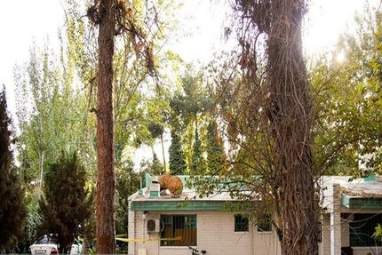 صحنه جرم قتل داریوش مهرجویی بازسازی شد