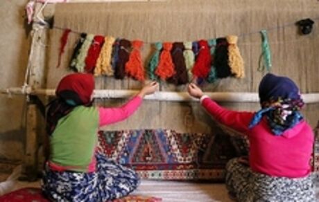 جشنواره ملی ورنی با حضور فعالین ۹ استان در اهر در حال برگزاریست