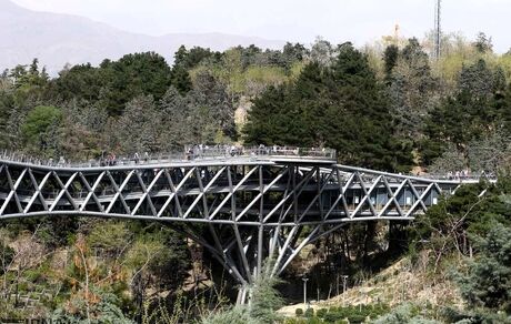 پل طبیعت امروز نارنجی می‌شود