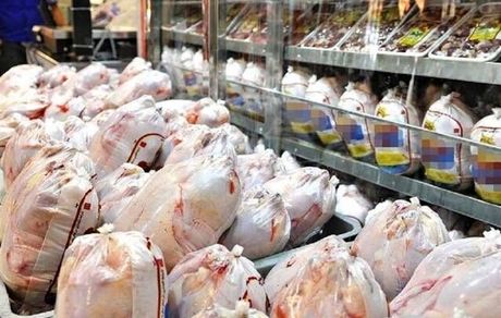 مشکل مرغ در تهران کی برطرف می‌شود؟