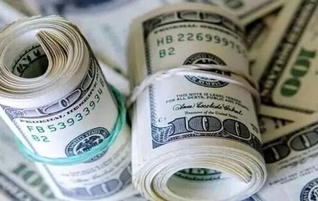 ضبط ۲۲۰ هزار دلار قاچاق در فرودگاه مشهد