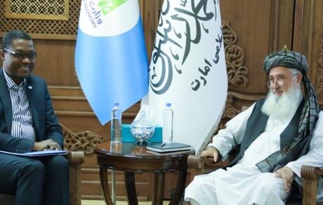 کمک ۱۸ میلیون تنی سازمان ملل به افغانستان
