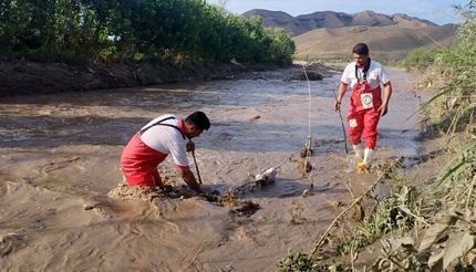 مفقود شدن ۲ دختر نوجوان در سیلاب عنبرآباد