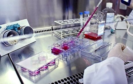 امضاء تفاهم‌نامه‌ همکاری برای مقابله با بیماری‌های تحلیل برنده