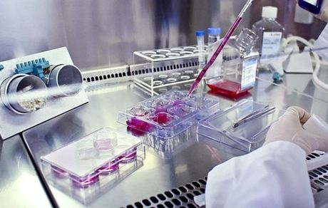 امضاء تفاهم‌نامه‌ همکاری برای مقابله با بیماری‌های تحلیل برنده