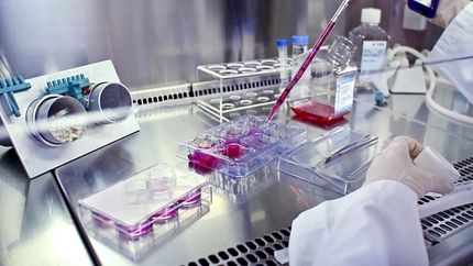 امضاء تفاهم‌نامه‌ همکاری برای مقابله با بیماری‌های تحلیل برنده
