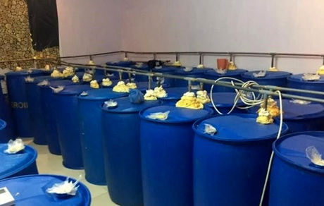 بزرگ‌ترین کارگاه ساخت مشروبات الکلی کویت در مرز عراق کشف شد