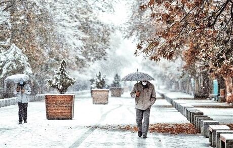 بارش چهار میلیمتر برف در برخی نقاط استان همدان