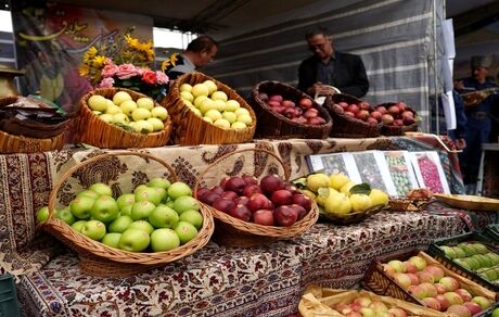 جشنواره‌های سیب و گردو در استان اردبیل برگزار می‌شود