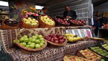 جشنواره‌های سیب و گردو در استان اردبیل برگزار می‌شود