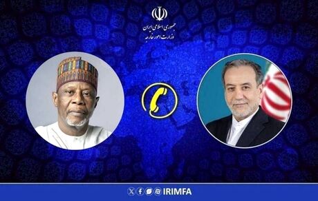 عراقچی با همتای نیجری گفت و گو کرد