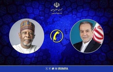 عراقچی با همتای نیجری گفت و گو کرد