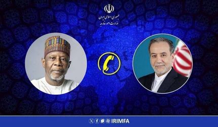 عراقچی با همتای نیجری گفت و گو کرد