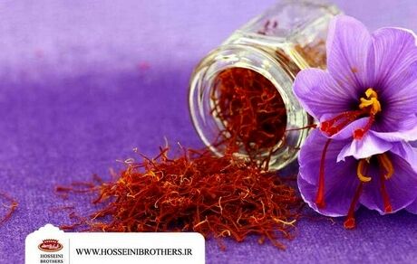 شرطی برای واگذاری ٥٠ تن طلای سرخ به یک شرکت/ کسی پاسخگو نیست