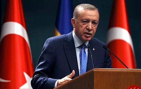 حمایت اردوغان از پیروزی جمهوری‌خواهان در مجلس سنا