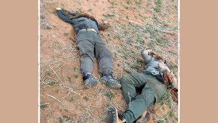 عاملان شهادت دو محیط‌بان زنجانی اعتراف کردند