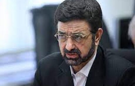 تشکیل سازمان ملی برای مهاجرین/ باید با باندهای سوء‌استفاده کننده از مهاجرین برخورد شود