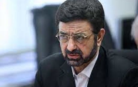 تشکیل سازمان ملی برای مهاجرین/ باید با باندهای سوء‌استفاده کننده از مهاجرین برخورد شود