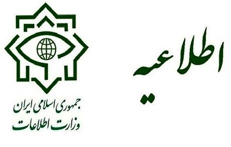 وزارت اطلاعات: شبکه سازمان یافته‌ای از دلالان و سوداگران دارویی دستگیر شدند