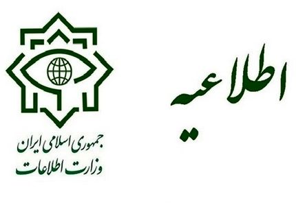وزارت اطلاعات: شبکه سازمان یافته‌ای از دلالان و سوداگران دارویی دستگیر شدند