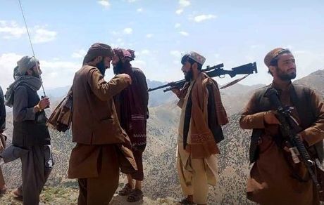 فرمانده ارشد طالبان کشته شد