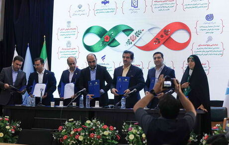 مشارکت بانک توسعه تعاون در حمایت از کسب‌وکارهای مهارت‌محور
