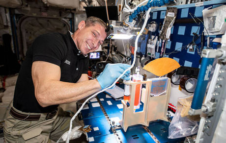 ناسا یک قدم به یافتن موثرترین راه آبیاری گیاهان در فضا نزدیک شد