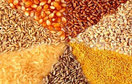 احتمال واگذاری تامین بخشی از نهاده‌ دامی به شرکت‌های واردکننده