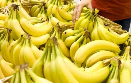 کشف ۱۷ تن موز احتکار شده در سیستان و بلوچستان