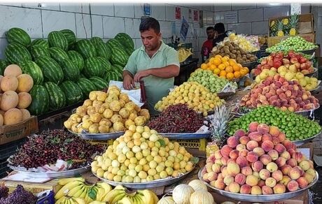 چند قلم میوه، ۱۰۰ هزار تومان!/پاسخ رئیس اتحادیه در مورد علت گرانی میوه