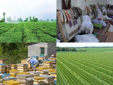 ایجاد ۳۲۷ هزار فرصت شغلی برای مددجویان روستایی در طول برنامه ششم توسعه کشور