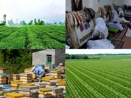 ایجاد ۳۲۷ هزار فرصت شغلی برای مددجویان روستایی در طول برنامه ششم توسعه کشور
