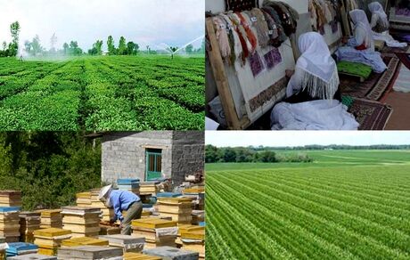 ایجاد ۳۲۷ هزار فرصت شغلی برای مددجویان روستایی در طول برنامه ششم توسعه کشور