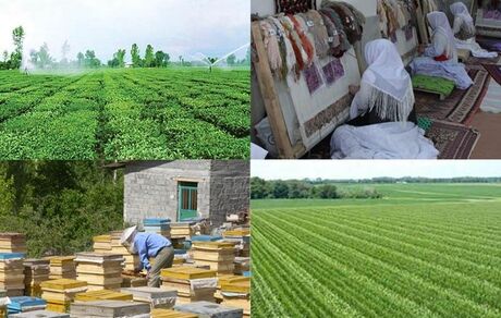ایجاد ۳۲۷ هزار فرصت شغلی برای مددجویان روستایی در طول برنامه ششم توسعه کشور