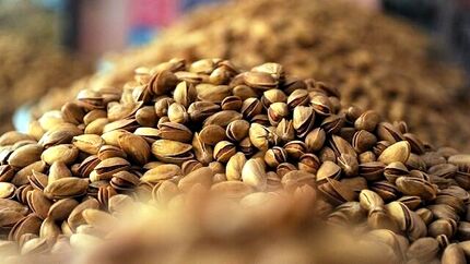 رویداد گردشگری پسته در بخش کورین شهرستان زاهدان برگزار خواهدشد