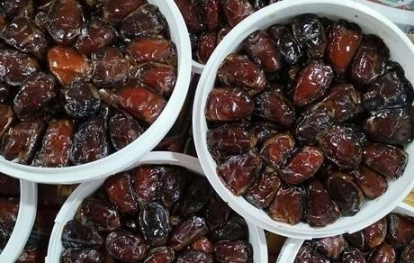 ذخیره‌سازی ۹۰۰ تن خرما برای ماه رمضان