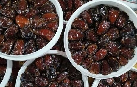 ذخیره‌سازی ۹۰۰ تن خرما برای ماه رمضان