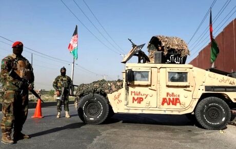 کشته شدن ۱۵۲۰ نیروی طالبان در یک هفته اخیر