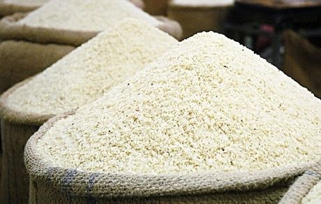 واردات برنج کاهش یافت