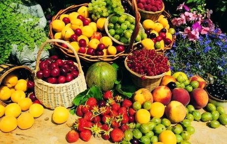 محصولات کشاورزی، شناسنامه‌دار می‌شوند