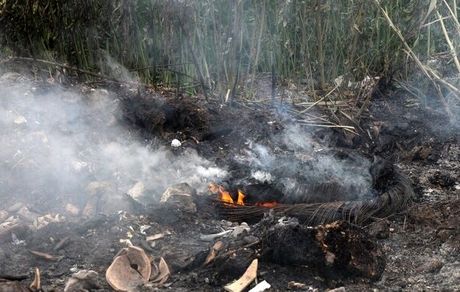 آتش سودجویان به جان تالاب انزلی