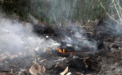 آتش سودجویان به جان تالاب انزلی