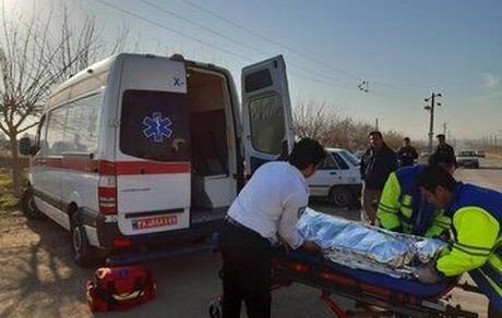گازگرفتگی ۶ عضو یک خانواده در سروآباد