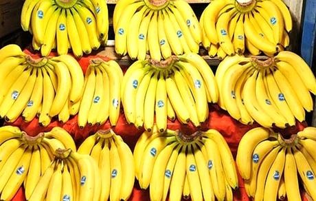 تکذیب ممنوعیت واردات موز