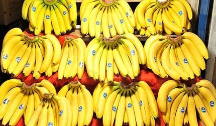 تکذیب ممنوعیت واردات موز