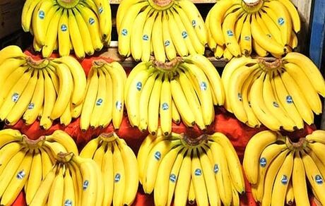 تکذیب ممنوعیت واردات موز