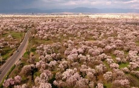 ثبت باغستان سنتی قزوین در نظام میراث کشاورزی مهم جهان