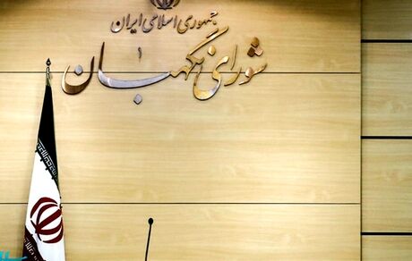 شورای نگهبان: اشخاص حقیقی و حقوقی از گمانه زنی غیرمستند و انتساب مطالب دروغ خودداری کنند