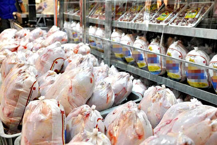 قیمت مرغ اصلاح می‌شود؟