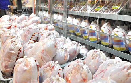 قیمت مرغ اصلاح می‌شود؟
